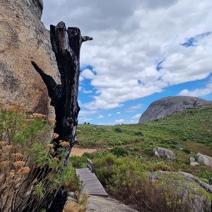 Paarl Mountain Reserve